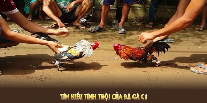 Liệt kê các điểm mạnh làm hình thức này trở nên nổi tiếng